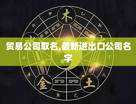 贸易公司取名,最新进出口公司名字