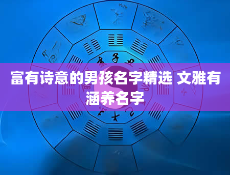 富有诗意的男孩名字精选 文雅有涵养名字