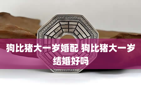 狗比猪大一岁婚配 狗比猪大一岁结婚好吗