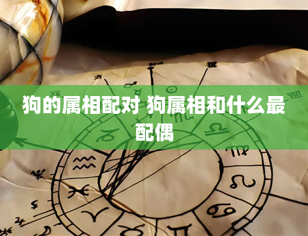 狗的属相配对 狗属相和什么最配偶