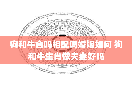 狗和牛合吗相配吗婚姻如何 狗和牛生肖做夫妻好吗
