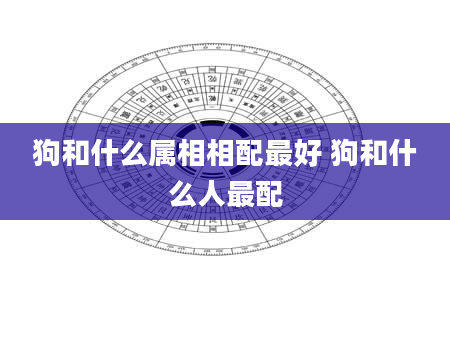 狗和什么属相相配最好 狗和什么人最配