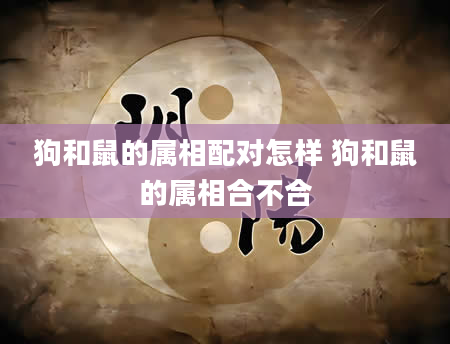 狗和鼠的属相配对怎样 狗和鼠的属相合不合