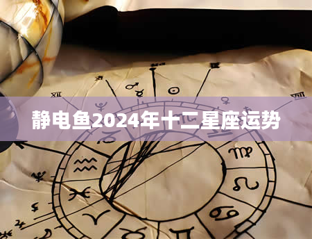 静电鱼2024年十二星座运势