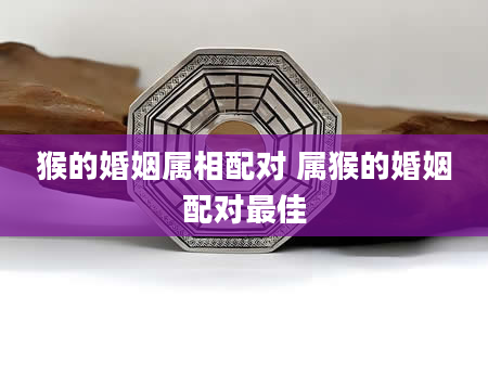 猴的婚姻属相配对 属猴的婚姻配对最佳