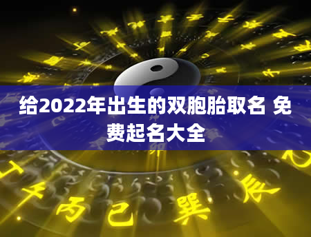 给2022年出生的双胞胎取名 免费起名大全