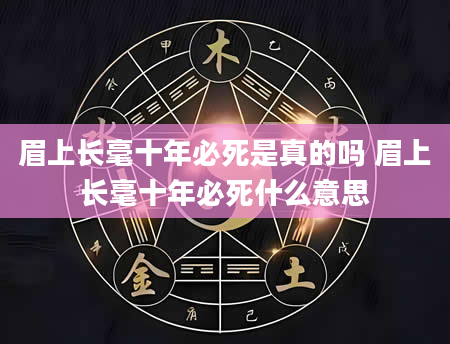 眉上长毫十年必死是真的吗 眉上长毫十年必死什么意思