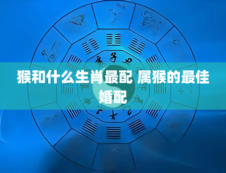 猴和什么生肖最配 属猴的最佳婚配