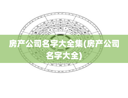 房产公司名字大全集(房产公司名字大全)