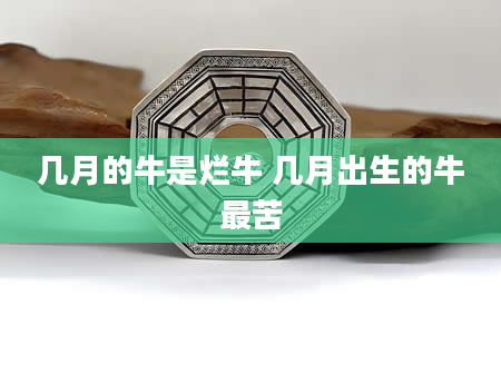 几月的牛是烂牛 几月出生的牛最苦