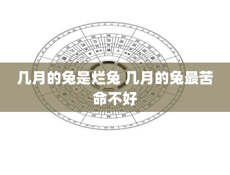 几月的兔是烂兔 几月的兔最苦命不好