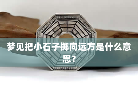 梦见把小石子掷向远方是什么意思？