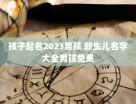 孩子起名2023男孩 新生儿名字大全男孩免费