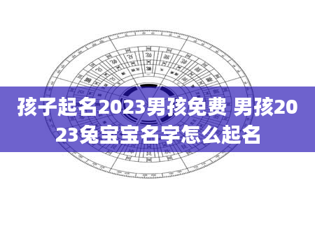 孩子起名2023男孩免费 男孩2023兔宝宝名字怎么起名