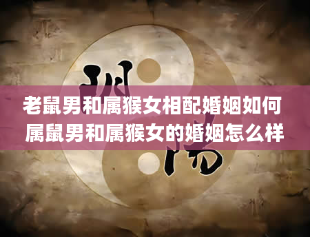 老鼠男和属猴女相配婚姻如何 属鼠男和属猴女的婚姻怎么样