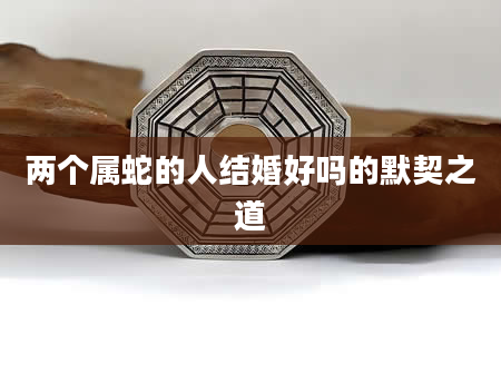 两个属蛇的人结婚好吗的默契之道