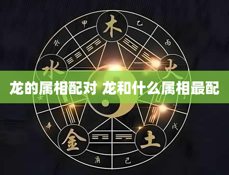 龙的属相配对 龙和什么属相最配