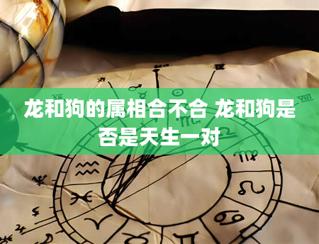 龙和狗的属相合不合 龙和狗是否是天生一对
