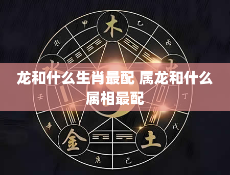 龙和什么生肖最配 属龙和什么属相最配