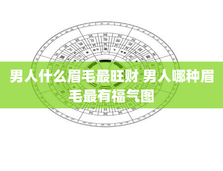 男人什么眉毛最旺财 男人哪种眉毛最有福气图