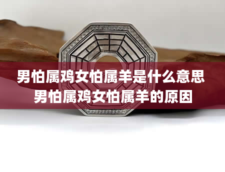 男怕属鸡女怕属羊是什么意思 男怕属鸡女怕属羊的原因