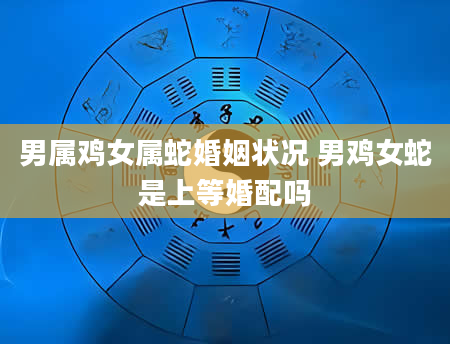 男属鸡女属蛇婚姻状况 男鸡女蛇是上等婚配吗