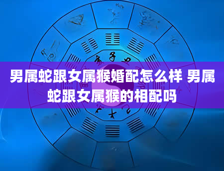 男属蛇跟女属猴婚配怎么样 男属蛇跟女属猴的相配吗