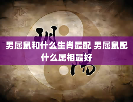 男属鼠和什么生肖最配 男属鼠配什么属相最好