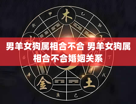 男羊女狗属相合不合 男羊女狗属相合不合婚姻关系