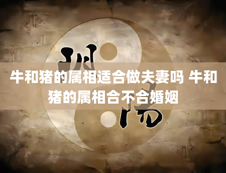 牛和猪的属相适合做夫妻吗 牛和猪的属相合不合婚姻