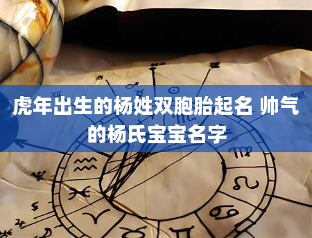 虎年出生的杨姓双胞胎起名 帅气的杨氏宝宝名字