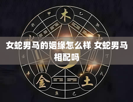 女蛇男马的姻缘怎么样 女蛇男马相配吗