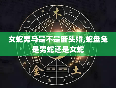 女蛇男马是不是断头婚,蛇盘兔是男蛇还是女蛇