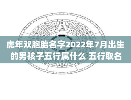 虎年双胞胎名字2022年7月出生的男孩子五行属什么 五行取名