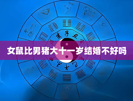 女鼠比男猪大十一岁结婚不好吗