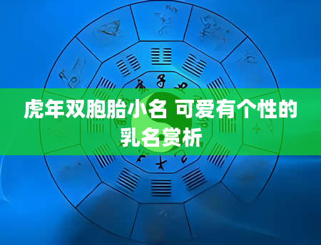 虎年双胞胎小名 可爱有个性的乳名赏析