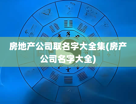 房地产公司取名字大全集(房产公司名字大全)