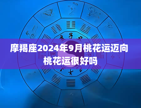 摩羯座2024年9月桃花运迈向 桃花运很好吗