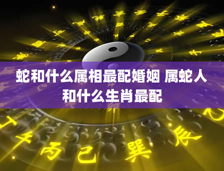 蛇和什么属相最配婚姻 属蛇人和什么生肖最配