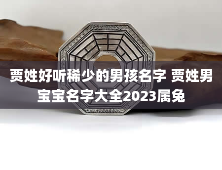 贾姓好听稀少的男孩名字 贾姓男宝宝名字大全2023属兔