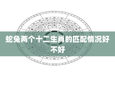 蛇兔两个十二生肖的匹配情况好不好
