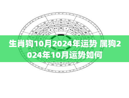 生肖狗10月2024年运势 属狗2024年10月运势如何