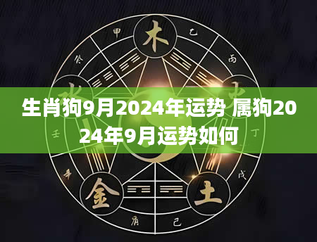 生肖狗9月2024年运势 属狗2024年9月运势如何