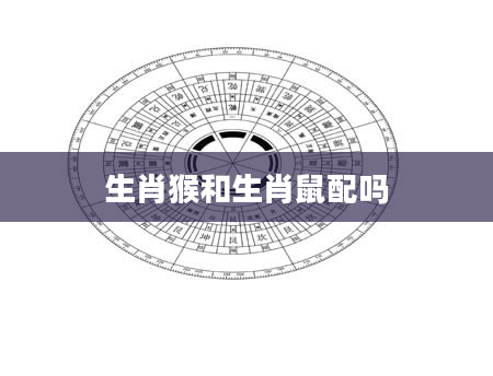 生肖猴和生肖鼠配吗