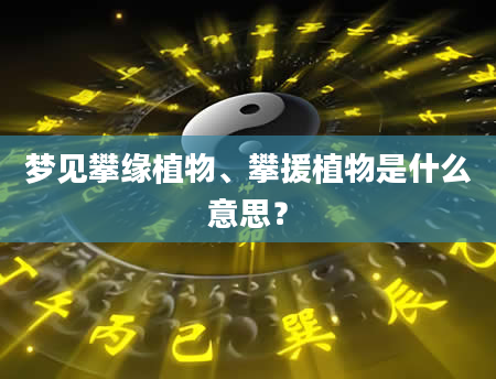 梦见攀缘植物、攀援植物是什么意思？