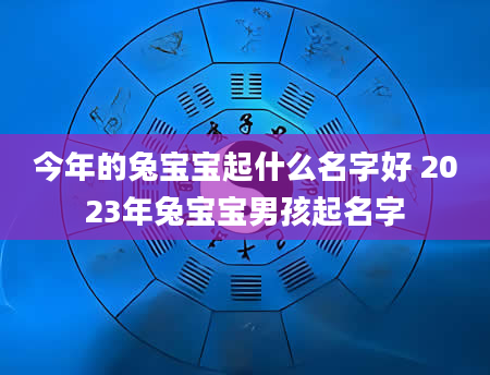 今年的兔宝宝起什么名字好 2023年兔宝宝男孩起名字