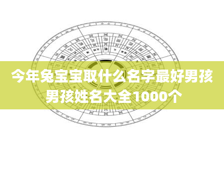 今年兔宝宝取什么名字最好男孩 男孩姓名大全1000个