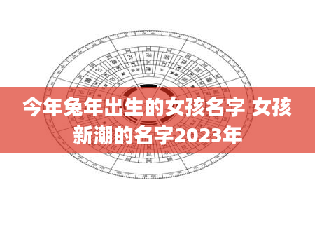 今年兔年出生的女孩名字 女孩新潮的名字2023年