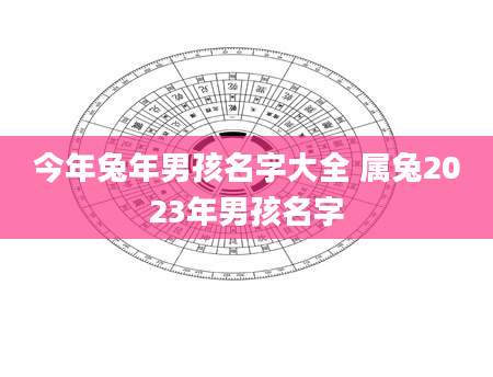 今年兔年男孩名字大全 属兔2023年男孩名字