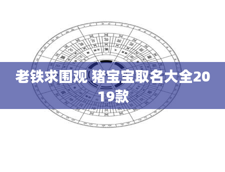 老铁求围观 猪宝宝取名大全2019款